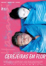 HANAMI – CEREJEIRAS EM FLOR – Kirschblüten – Hanami