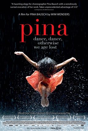 Cartaz do filme PINA