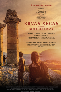 Cartaz do filme ERVAS SECAS – about dry grasses