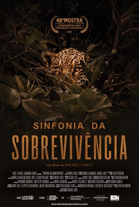 Cartaz do filme SINFONIA DA SOBREVIVÊNCIA