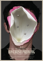 ROSEBUSH PRUNING